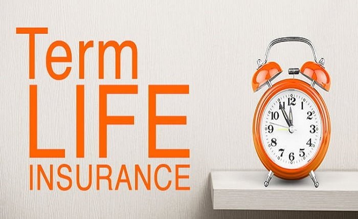 term life insurance plan