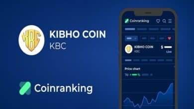 kibho coin price today inr